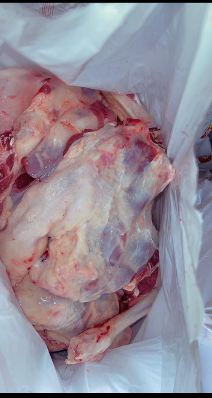 Hajj Qurbani/Sacrifice