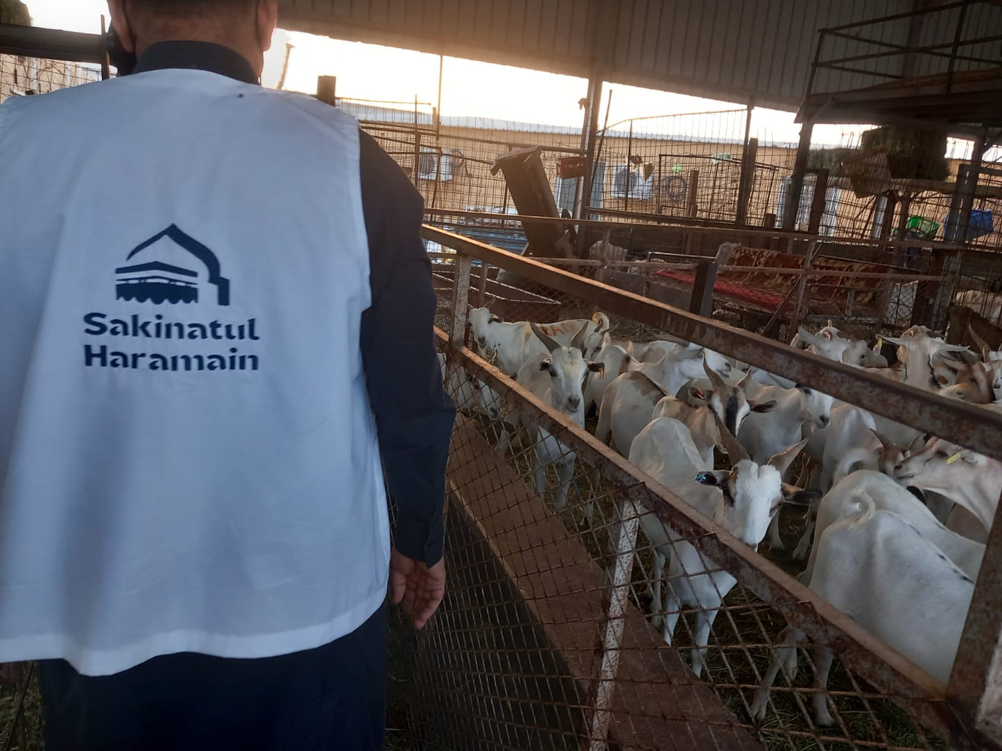 Damm Qurbani (Current Price)
